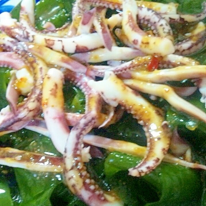 刺身わかめとイカの海藻サラダ